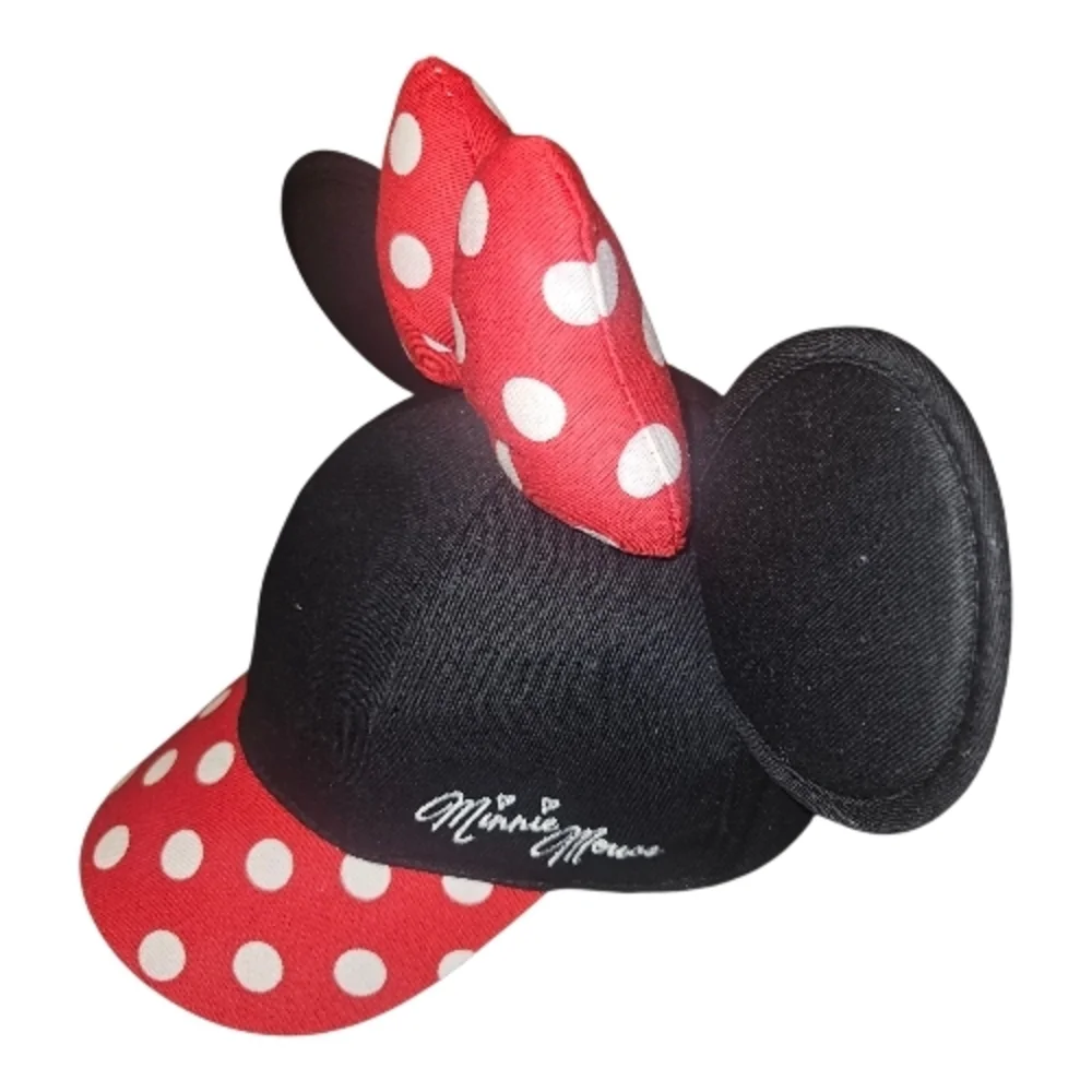 Disney disneyland resorts